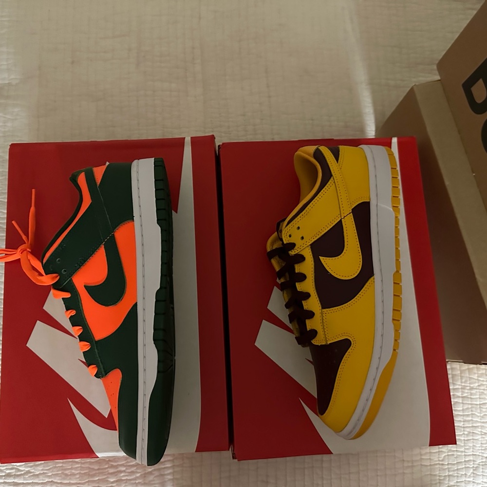 Nike Dunks low retro